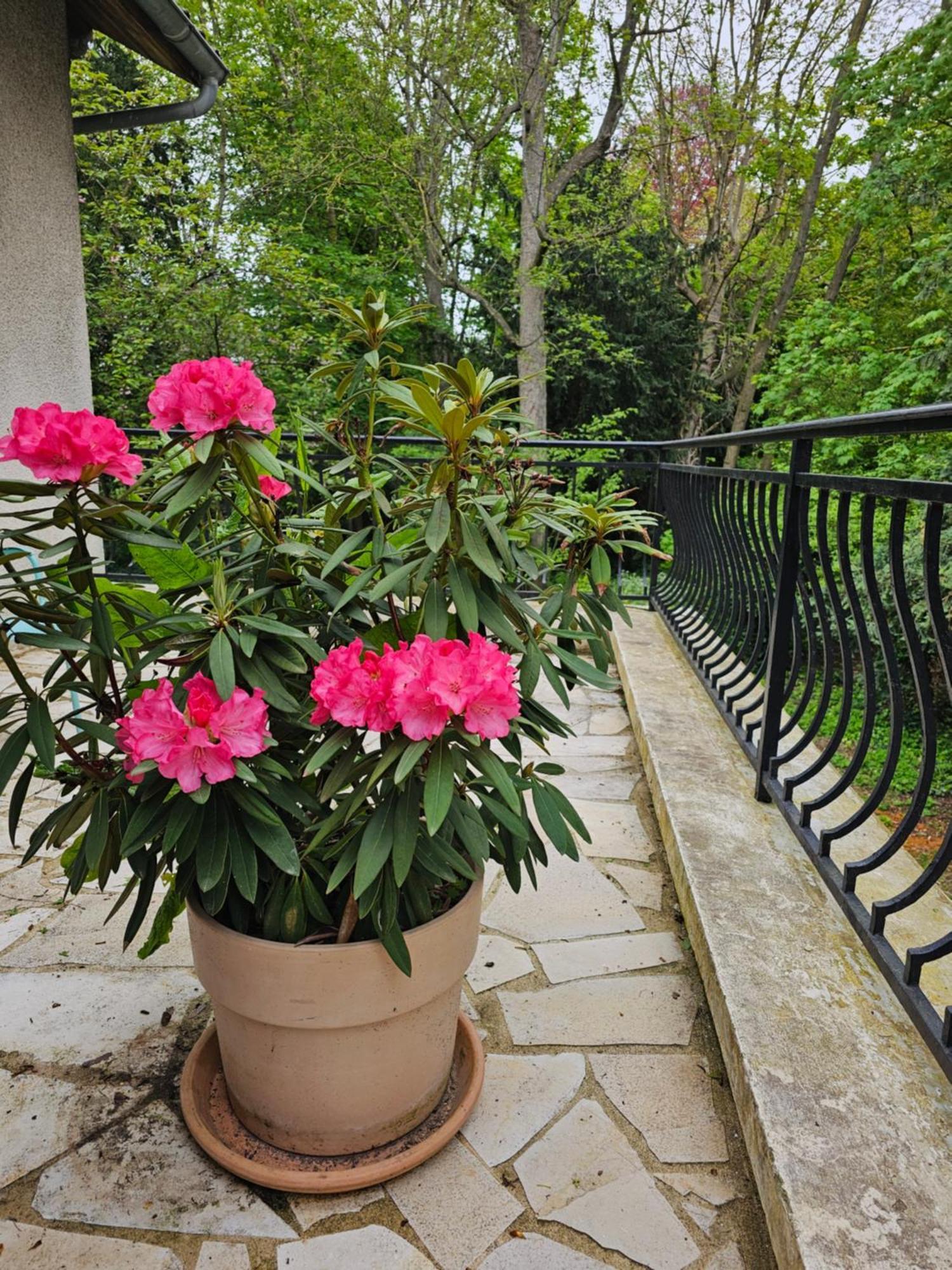 Apartament L'Ile Des Prevots Crosne Zewnętrze zdjęcie